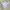 Hush Puppies Minimalist Casual Polo shirt Pria gray photo 4