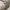 Adidas Y2K Casual Sneakers Pria white cream photo 6