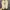 Adidas Y2K Casual Sneakers Pria white cream photo 4