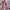 Japanese brand Vintage Streetwear Pria white pink photo 2