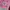 Japanese brand Vintage Streetwear Pria white pink photo 1