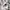 Minimalist Casual T-shirt Pria white photo 7