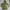 Vintage Streetwear Hoody Pria Multicolor Green
