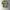 Casual T-shirt Pria green khaki photo 1