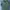 Casual T-shirt Pria green khaki photo 6