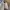 Casual Fleece Pria cream photo 1