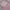 H&M Casual Shoulder Bag Wanita Pink