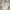 Burberry Vintage Shirt Wanita white photo 1