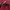 Marks & Spencer Casual Casual shirt Pria red photo 5