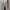 Minimalist Casual Culotte Wanita cream photo 3