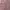 Fairy Coquette Gilet Wanita multicolor pink photo 1
