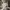 Vintage Indie T-shirt Pria white photo 6