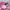 Onitsuka Tiger Casual Sneakers Wanita pink photo 2