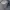 Y2K Mini skirt Wanita gray photo 4