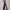 Luxury Minimalist Pria black photo 1