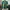 Vintage Sportswear Jersey Pria green yellow photo 1