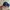MLB Streetwear Hat Pria Navy