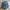 Vintage Hat Pria Blue