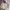 Casual Track jacket Pria cream photo 1