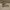 Converse Vintage Streetwear Boots Pria brown photo 1