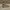 Converse Vintage Streetwear Boots Pria Brown
