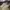 Adidas Luxury Casual Sneakers Pria khaki yellow photo 2