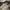 Adidas Luxury Casual Sneakers Pria Khaki Yellow