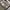 Adidas Streetwear Y2K Casual shoe Pria white blue photo 2