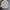 Nike Vintage Y2K Hat Pria gray photo 1