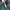 Carhartt Streetwear Casual Harrington jacket Pria navy photo 8