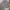 Polo Ralph Lauren Vintage Y2K Hat Pria gray photo 1