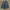 Southpole Vintage Y2K Jeans Pria black gray photo 1