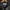 Casual Puffer jacket Pria black photo 4