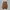 Adidas Casual Sneakers Pria brown orange photo 5