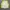 Nike Streetwear Casual Windbreaker Wanita yellow photo 4