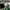 Puma Streetwear Casual Sneakers Pria green photo 7