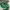 Puma Streetwear Casual Sneakers Pria green photo 3