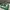 Puma Streetwear Casual Sneakers Pria green photo 2