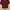 Casual Crop top Wanita burgundy photo 1