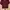 Casual Crop Top Wanita Burgundy
