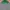 Tangerine Marche Casual Jumper Pria green gray photo 3
