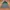 Tangerine Marche Casual Jumper Pria green gray photo 1
