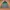 Tangerine Marche Casual Jumper Pria green gray photo 2