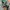 Tangerine Marche Casual Jumper Pria green gray photo 6