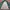 Tangerine Marche Casual Jumper Pria green gray photo 5