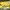 Onitsuka Tiger Casual Sneakers Pria Yellow