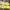 Onitsuka Tiger Casual Sneakers Pria yellow photo 3