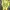Onitsuka Tiger Casual Sneakers Pria yellow photo 2