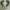 Adidas Streetwear Skater Sneakers Pria green white photo 3