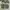 Adidas Streetwear Skater Sneakers Pria green white photo 4